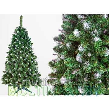 Сосна GreenTerra Сибирская с молодыми побегами (серебристый) 2.2 м